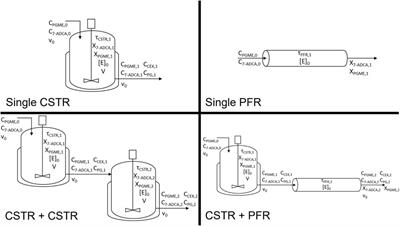 Reactor Design and Optimization of α-Amino Ester Hydrolase- Catalyzed Synthesis of Cephalexin